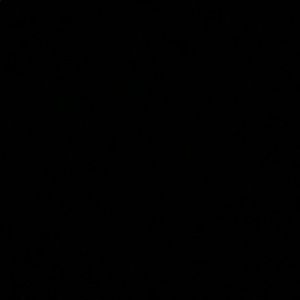 Meet your Posher, Taryn